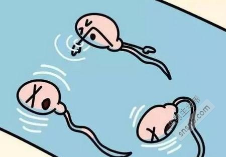 如何提高赠卵试管婴儿胚胎植入的几率？