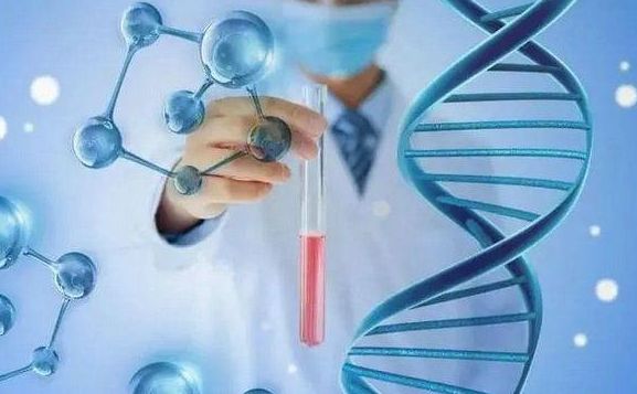2022年供卵试管婴儿的大概费用--最全面的费用明细(上)