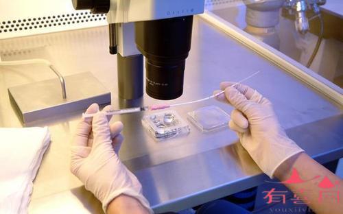老年妇女有可能在一次供卵试管婴儿中取得成功吗？