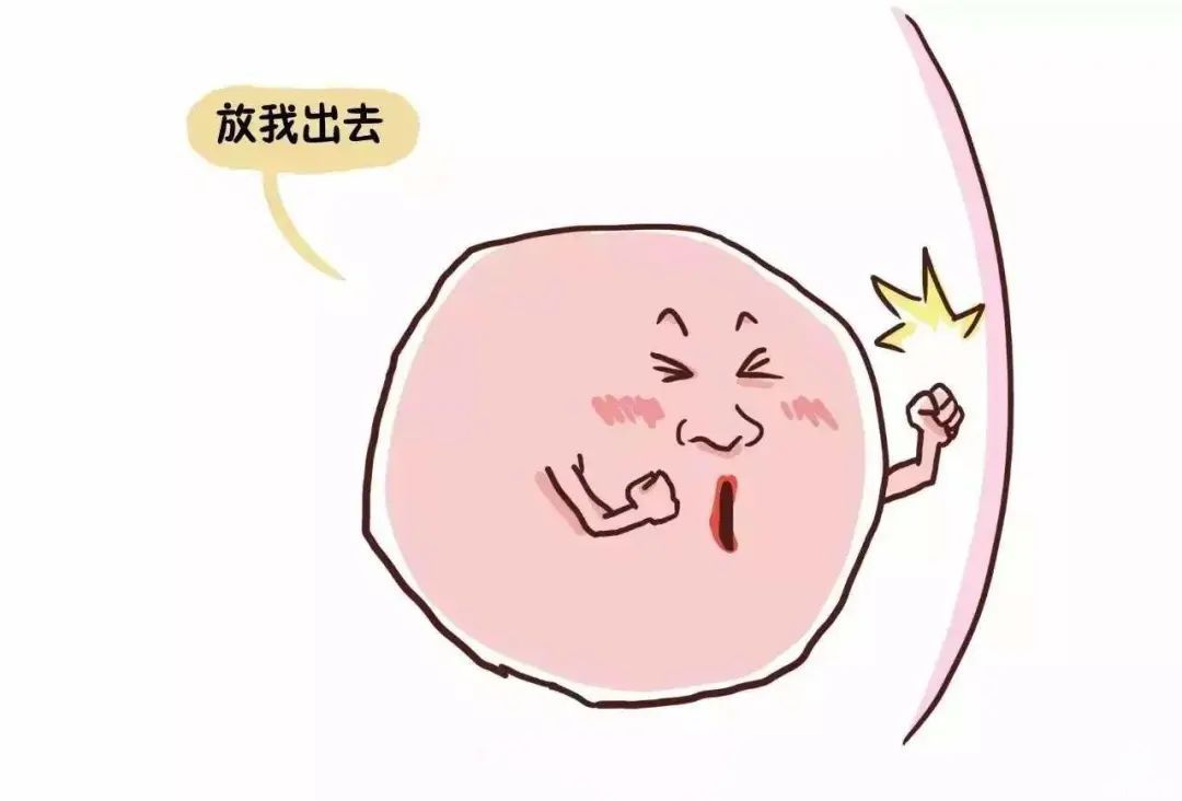 老年妇女有可能在一次供卵试管婴儿中取得成功吗？