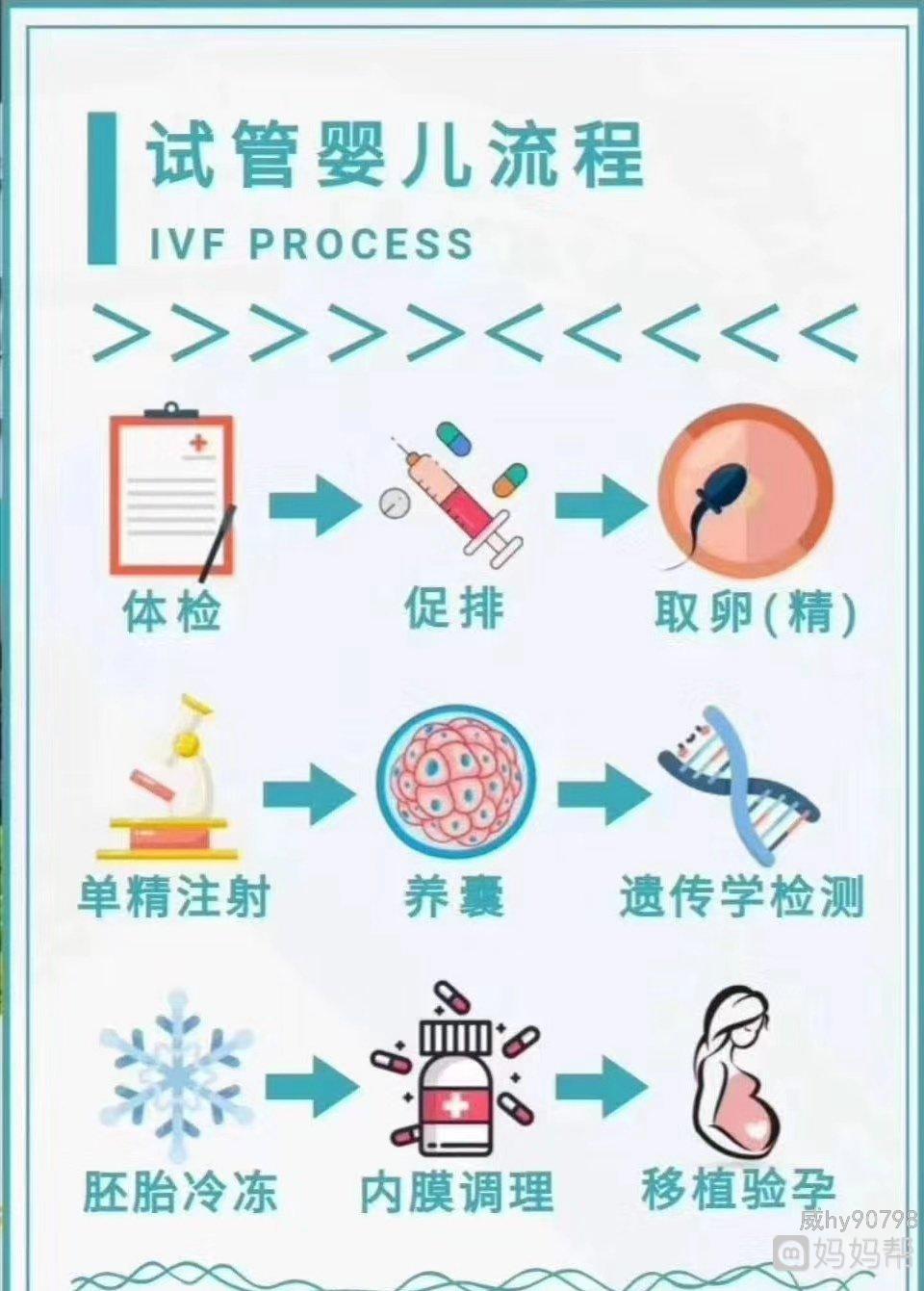 借卵做试管婴儿真的会使人发胖吗？这篇文章告诉你真相!