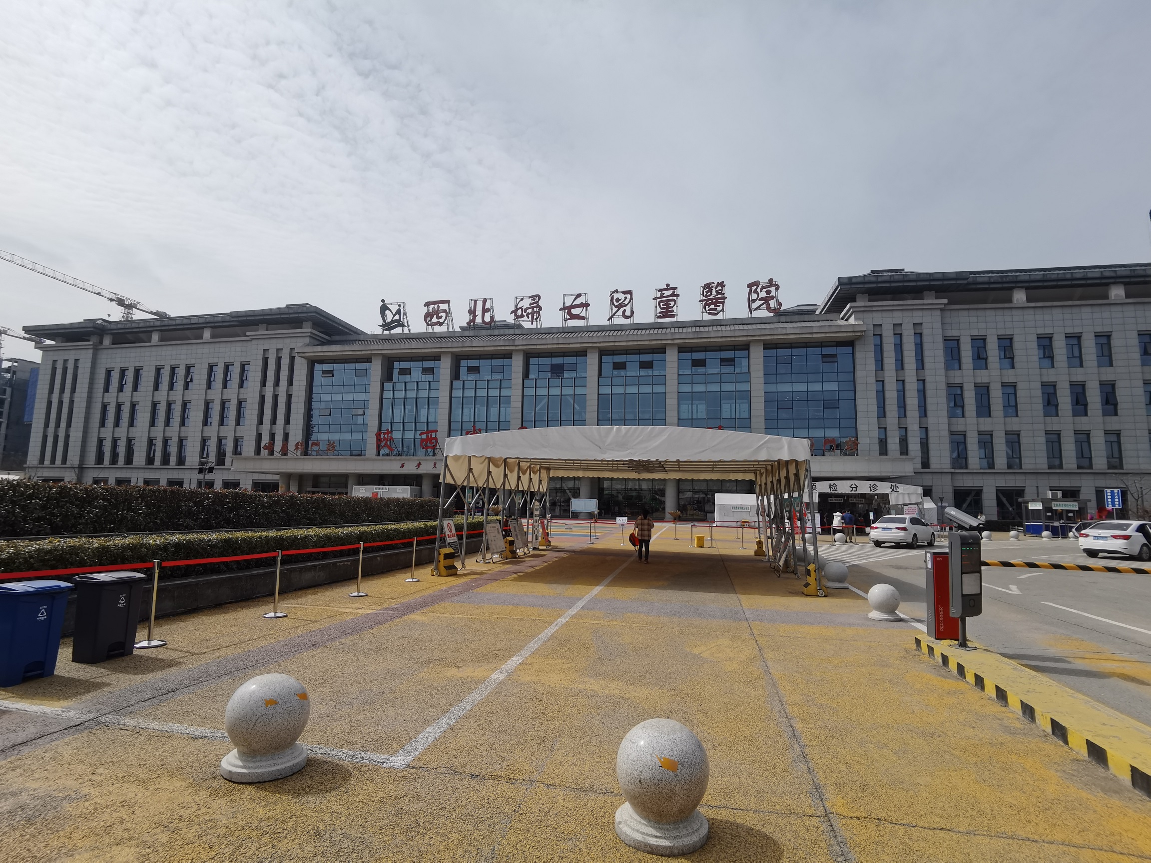 上海有一家上海第九人民医院可以做供卵公立代生试管吗？