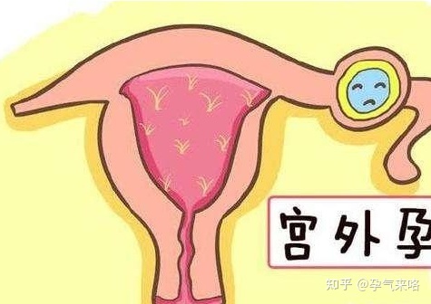 宝宝在肚子里是如何吸收营养的？