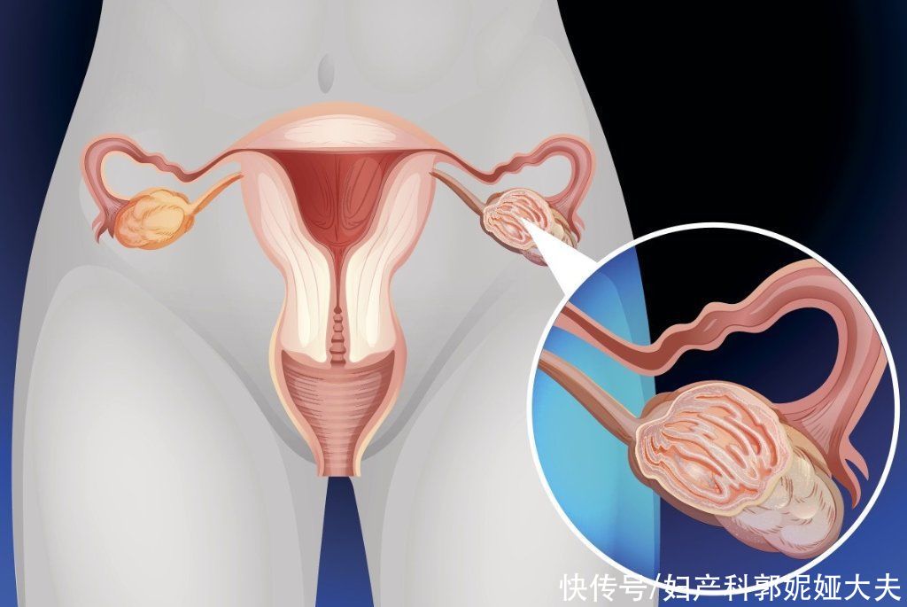 实验室借卵做试管规格