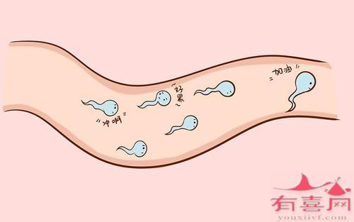 北京市试管哪个医院好
