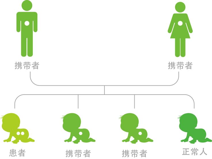 试管婴儿女方流程