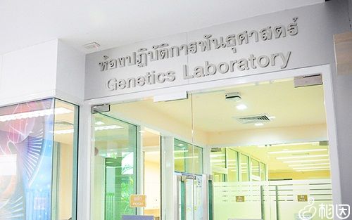 试管移植为什么会宫外孕