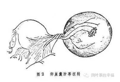 2023年北京做试管哪个医院成功率高？一次试管费用多少？