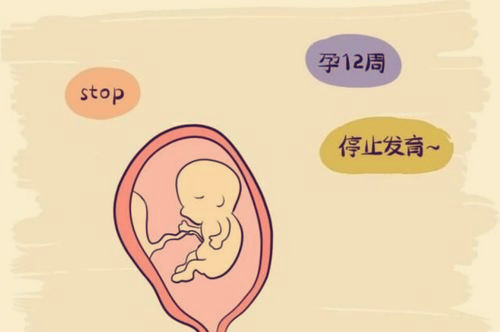 网购的哪个平台能买到万胜的生精片？