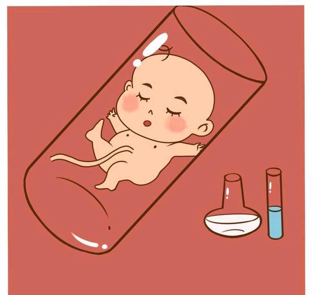 北京试管专家解析囊胚发育过程是怎样的？受哪些因素的影响？