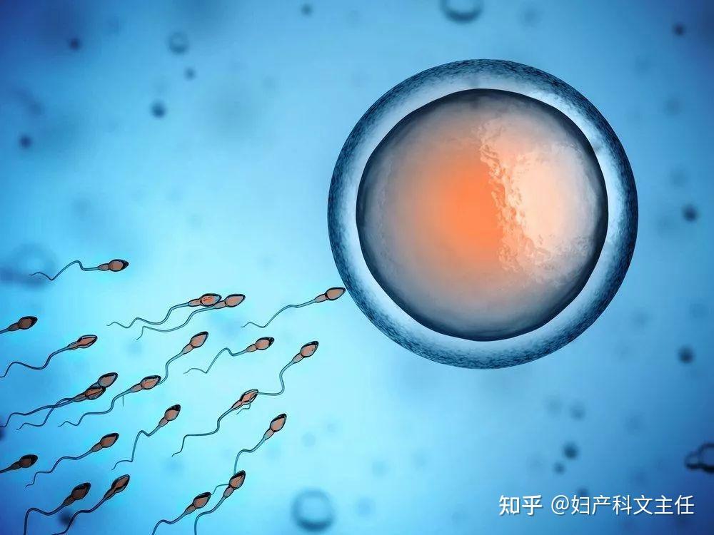 北京市试管代怀的费用要花多少钱