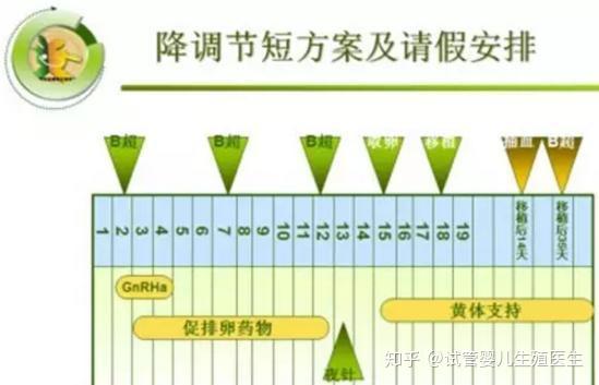 有重度少弱畸形精试管成功的姐妹嘛