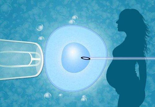 想怀孕生女孩怎么调理身体5种食物得多吃