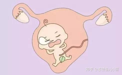 囊胚选择自然周期移植都要用哪些药