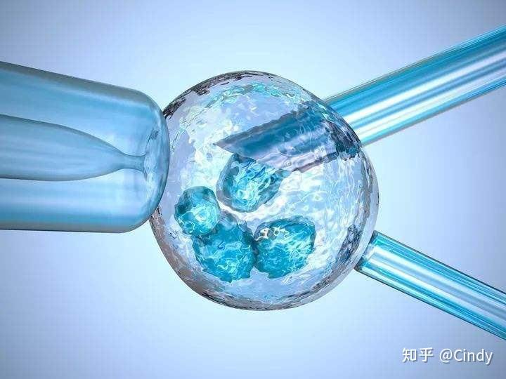 amh0.15试管几率深度揭秘,取卵数量
