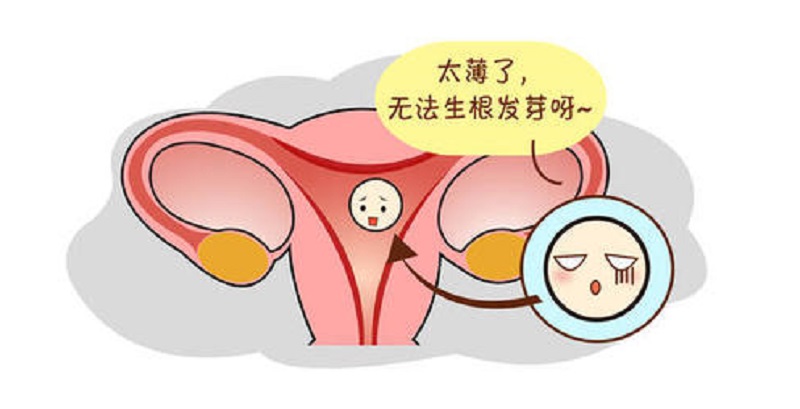 肥胖对双胞胎试管代怀费用的影响你知道吗