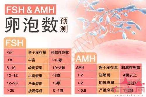 c罗为什么要试管代怀小孩上户口婴儿