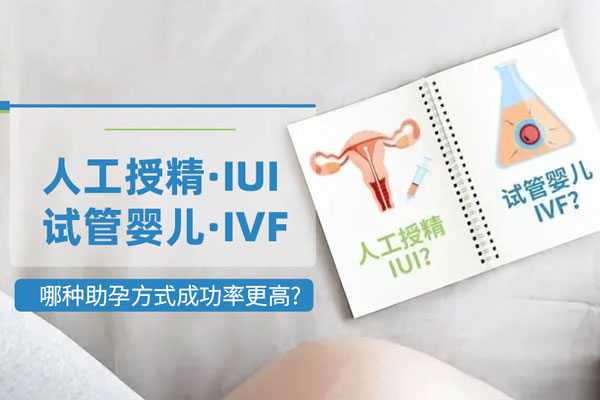 2024北京哪里排队供卵不用等（附两大权威医院卵源等待时间）