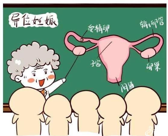 北京的国内代生公司哪家好是几代（供卵助孕公司机构电话几代比较好）