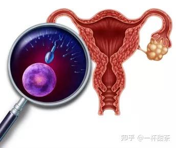 北京医学院第三代代生宝宝联系电话怎么样（北京医学院可以合法试管代怀婴儿吗？）