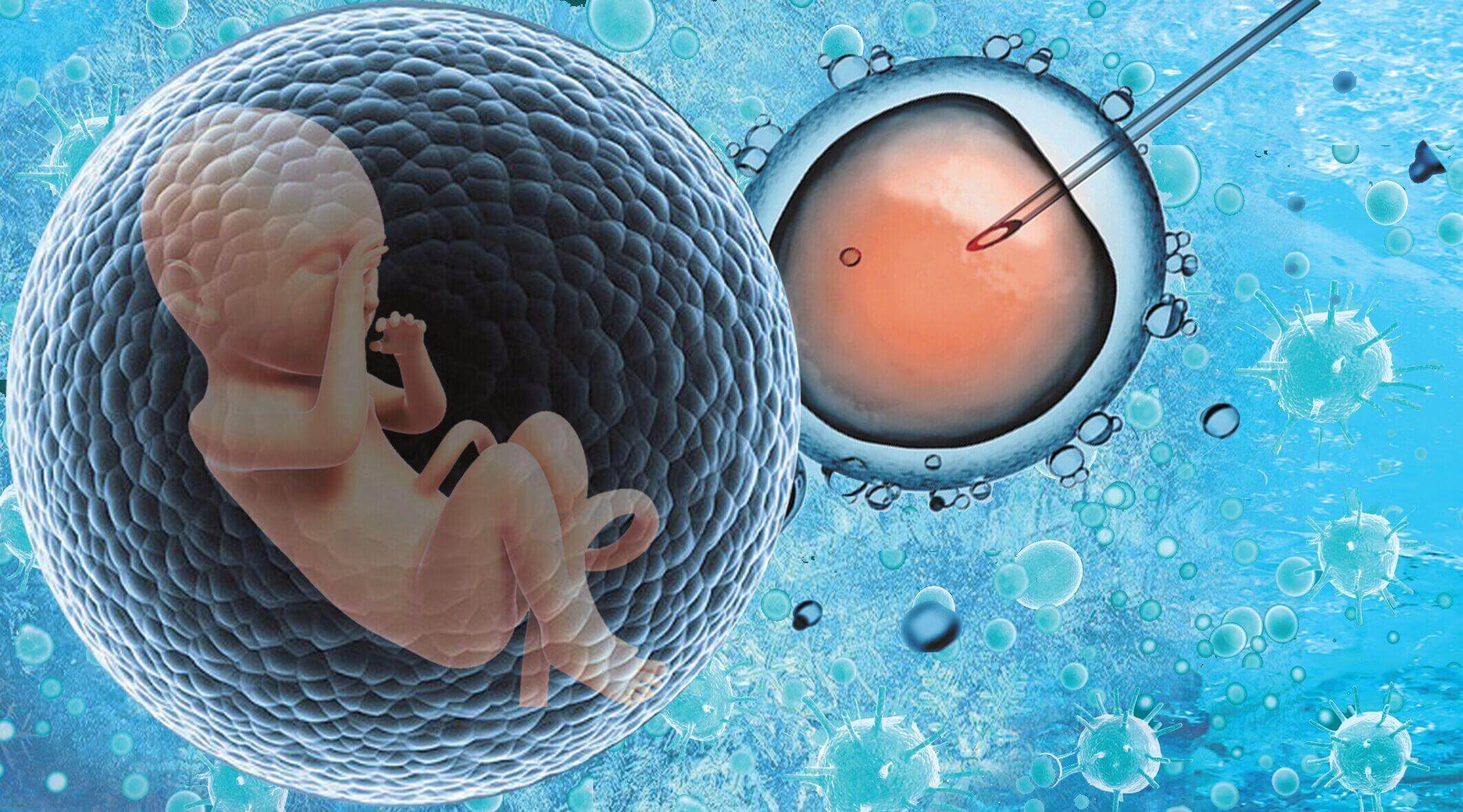 北京供卵第三代代怀生子试管助孕医院有哪些